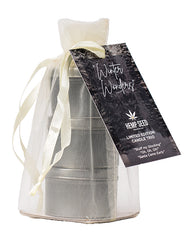 Earthly Body 2024 Holiday 3 in 1 Candle Trio Gift - 2 oz Asst. Scents