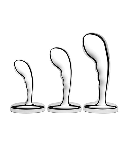 Stainless Steel P-spot Training Set - LUST Depot