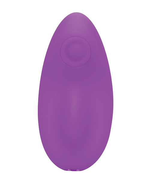 In A Bag Panty Vibe W/remote - Purple - LUST Depot