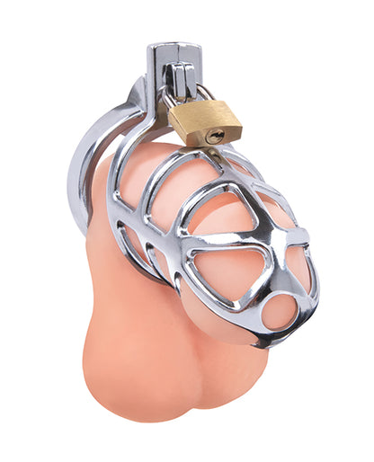 Lockmaster 3.75" Stainless Steel Prisoner Cock Cage - Silver