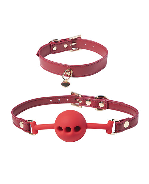 Kinky Play Box Red Passion 8 pc Set Bondage Kit - Red