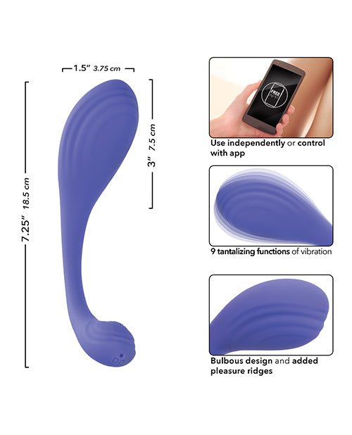 Connect App Based Kegel Exerciser - LUST Depot