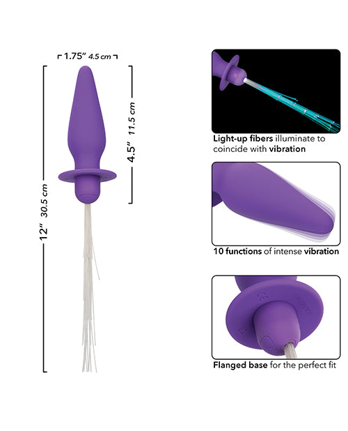 Southern Lights Rechargeable Vibrating Light Up Anal Probe - Purple - LUST Depot