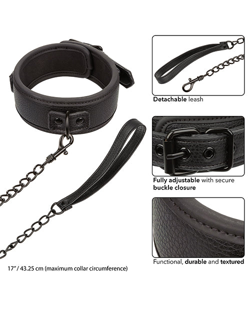 Nocturnal Collection Detachable Collar & Leash - Black - LUST Depot