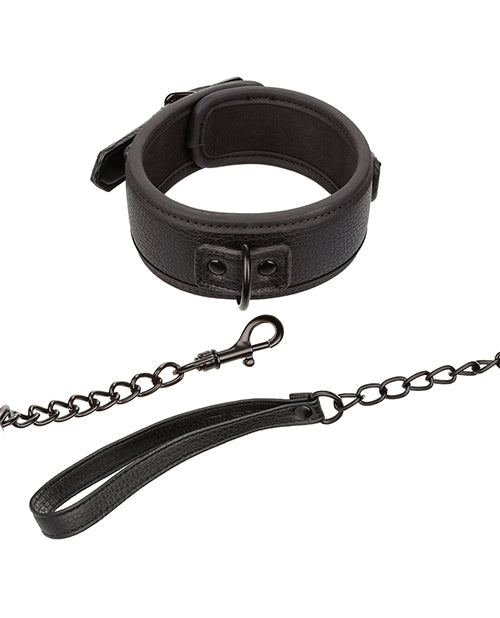 Nocturnal Collection Detachable Collar & Leash - Black - LUST Depot