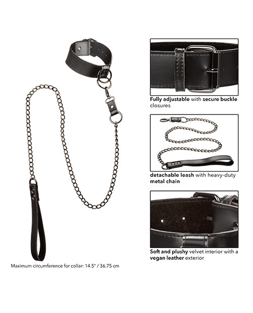 Euphoria Collection Collar W/chain Leash - LUST Depot