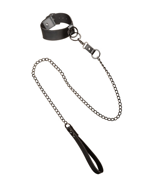 Euphoria Collection Collar W/chain Leash - LUST Depot