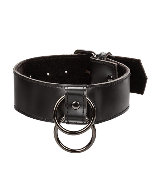 Euphoria Collection Collar W/chain Leash - LUST Depot