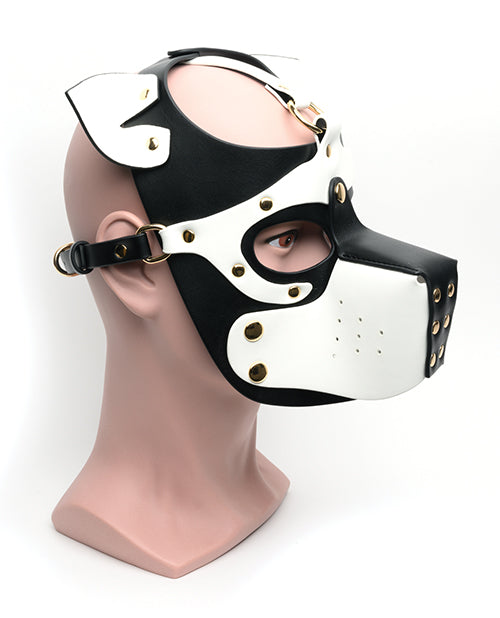 665 Bondage Pup Hood - O/S Black/White - LUST Depot