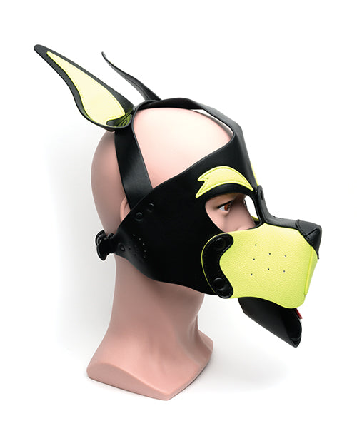 665 Playful Pup Hood - O/S Black/Yellow - LUST Depot