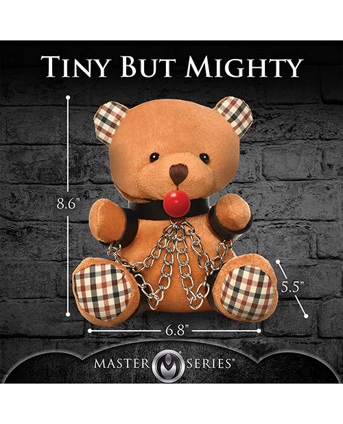 Master Series Gagged Teddy Bear Plush - LUST Depot