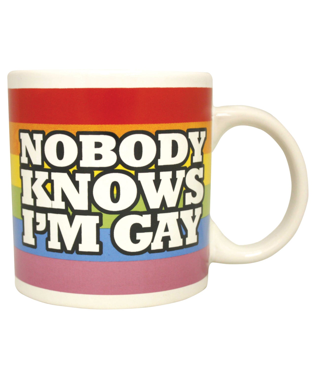 Attitude Mug Nobody Knows I'm Gay - LUST Depot