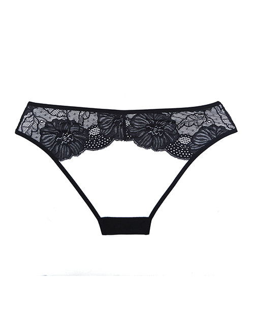 Adore Kiss Mesh & Lace Open Panty Black O/s - LUST Depot