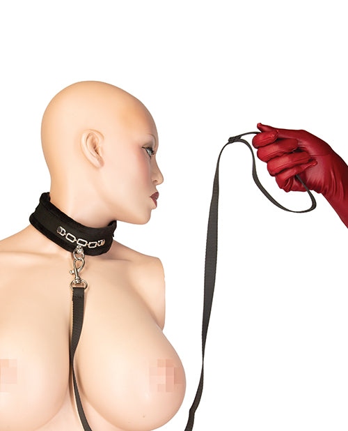 Punishment Crystal Detail Collar & 37" Leash - LUST Depot