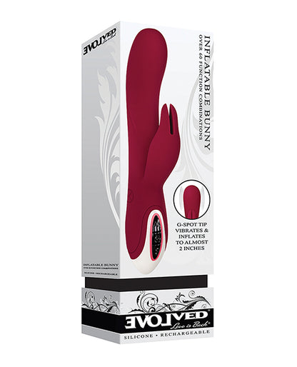 Evolved Inflatable Bunny Dual Stim Rechargeable - Burgundy - LUST Depot