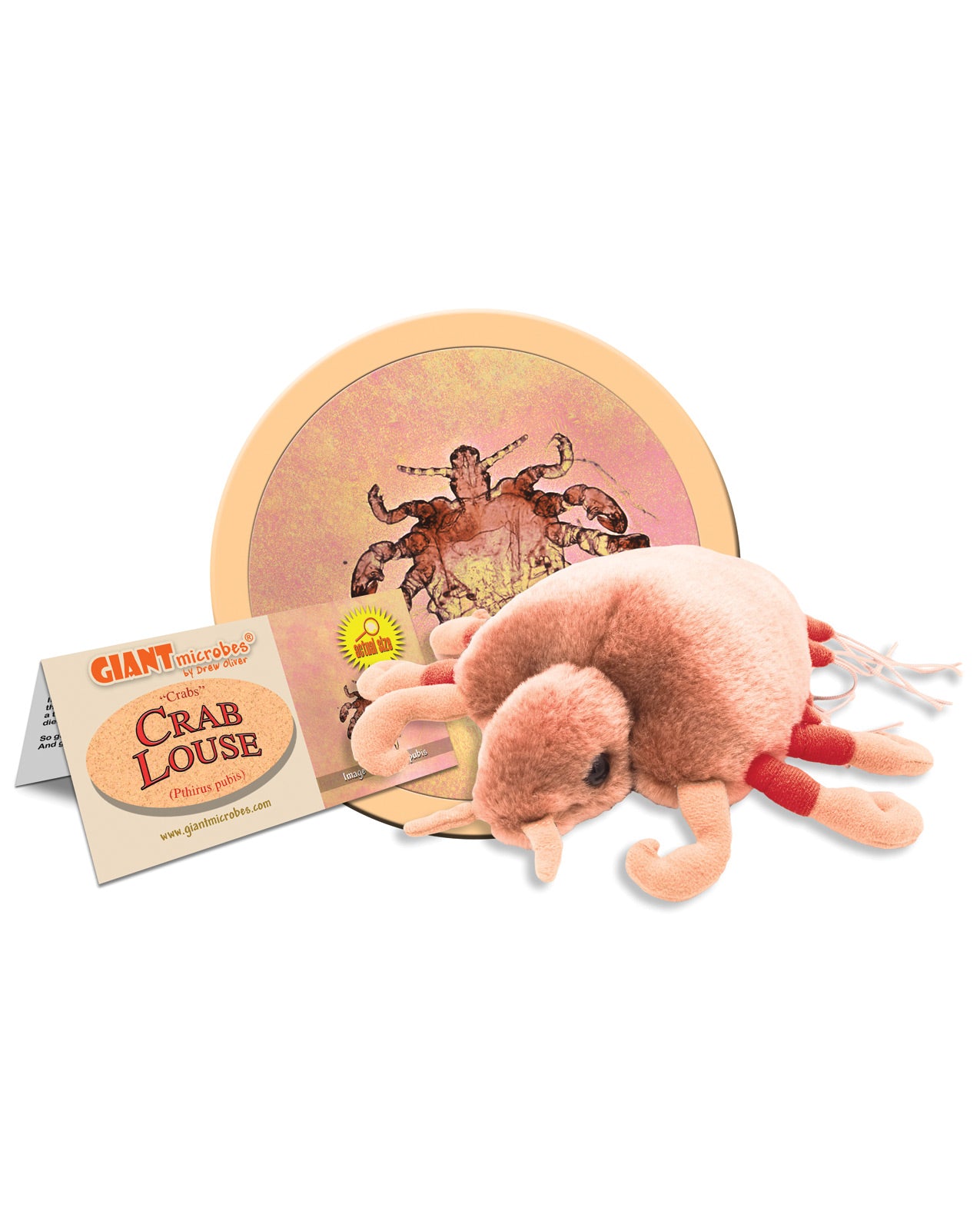 Giantmicrobes Crab Louse - Small - LUST Depot