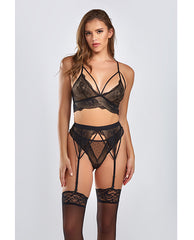 Everly Dot Mesh & Galloon Lace Strappy Bra, Garterbelt & Hipster Panty Black 3x