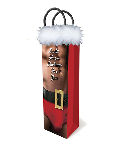 Santa Has A Package Gift Bag - LUST Depot