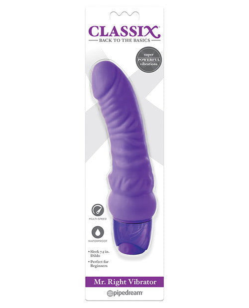 Classix Mr Right Vibrator - Purple - LUST Depot