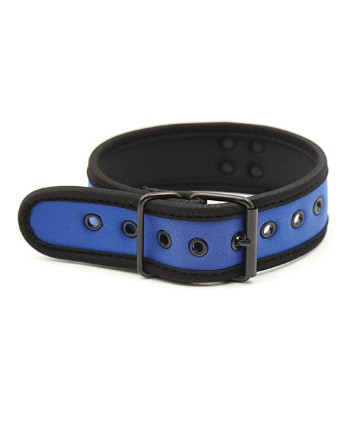 Plesur Neoprene Puppy Collar - Blue - LUST Depot