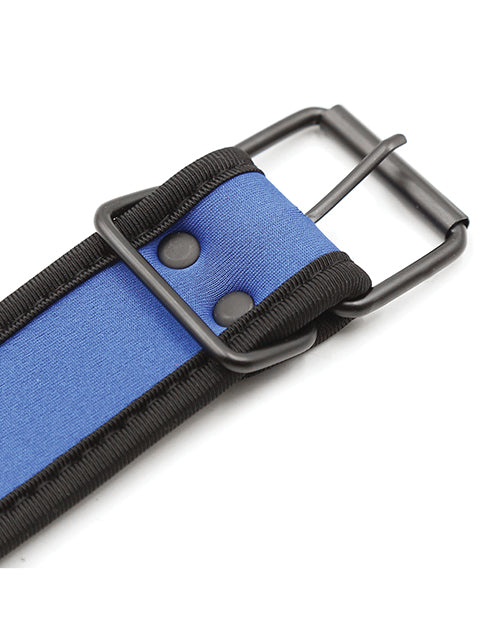 Plesur Neoprene Puppy Collar - Blue - LUST Depot