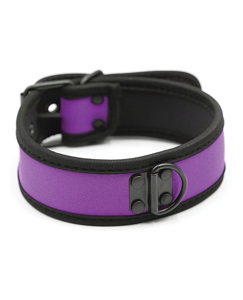 Plesur Neoprene Puppy Collar - Purple - LUST Depot