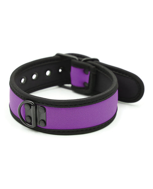 Plesur Neoprene Puppy Collar - Purple - LUST Depot