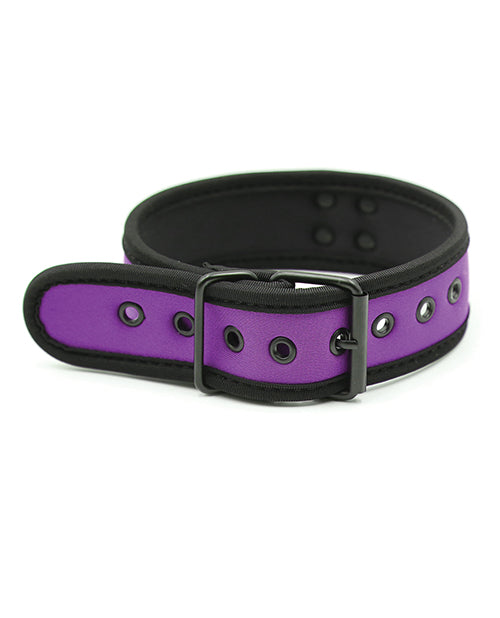 Plesur Neoprene Puppy Collar - Purple - LUST Depot