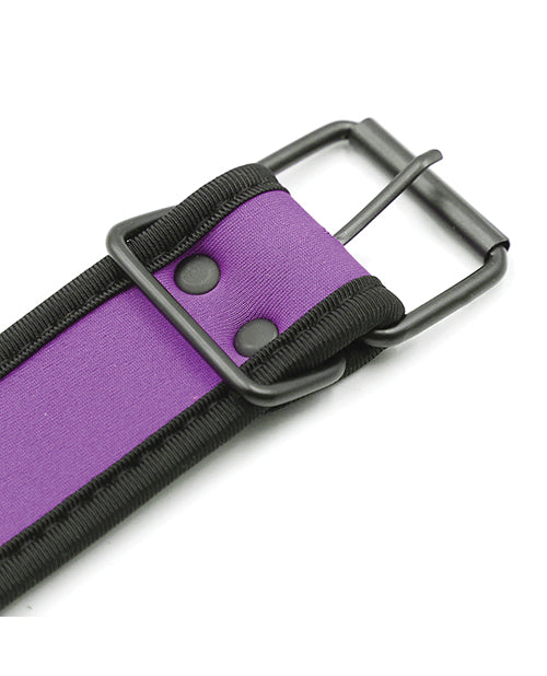 Plesur Neoprene Puppy Collar - Purple - LUST Depot