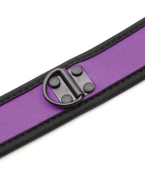 Plesur Neoprene Puppy Collar - Purple - LUST Depot