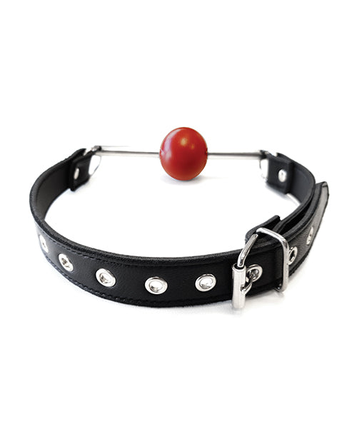 Rouge Leather Ball Gag W/removable Ball - Black W/red - LUST Depot