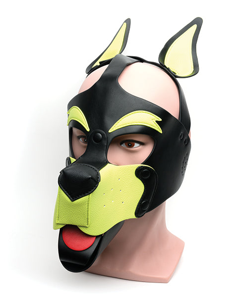 665 Playful Pup Hood - O/S Black/Yellow - LUST Depot