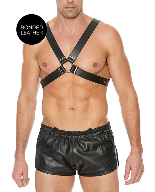 Shots Ouch Men's Large Buckle Harness - Black - LUST Depot